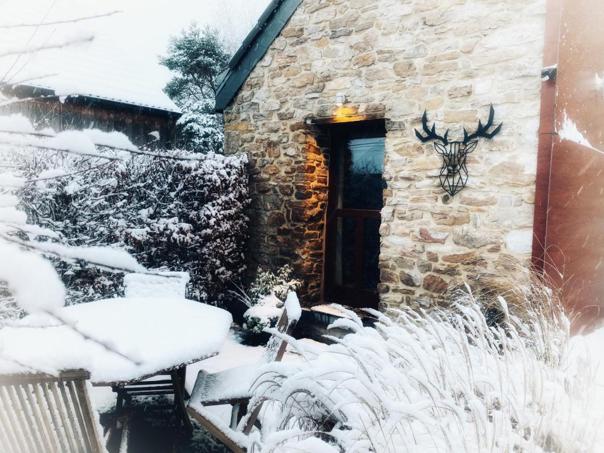 Le Brame Du Cerf *