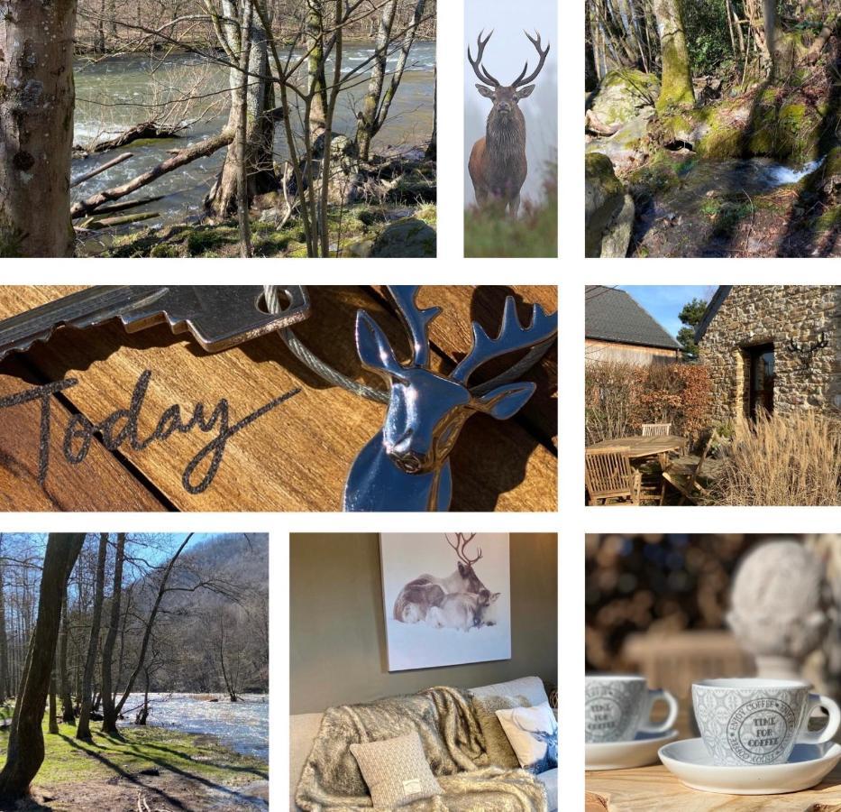 Holiday home Le Brame Du Cerf *