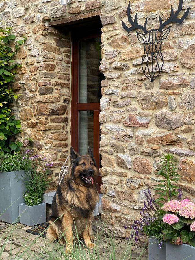 Holiday home Le Brame Du Cerf *